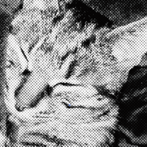 画像に alt 属性が指定されていません。ファイル名: cropped-スクリーンショット-2021-05-18-23.25.18-edited.png